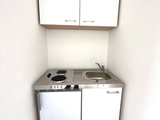 Wohnung zur Miete 435 € 1 Zimmer 26,5 m² EG frei ab sofort Biewerer Straße 197 Biewer Trier 54293