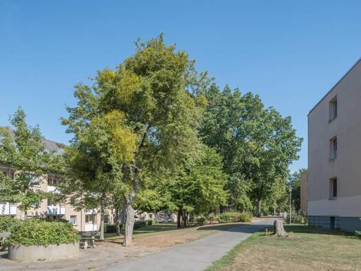 Wohnung zur Miete 451 € 3 Zimmer 64,6 m² 1. Geschoss frei ab 12.08.2025 Zum Heidgarten 4 Vorsfelde Wolfsburg 38448