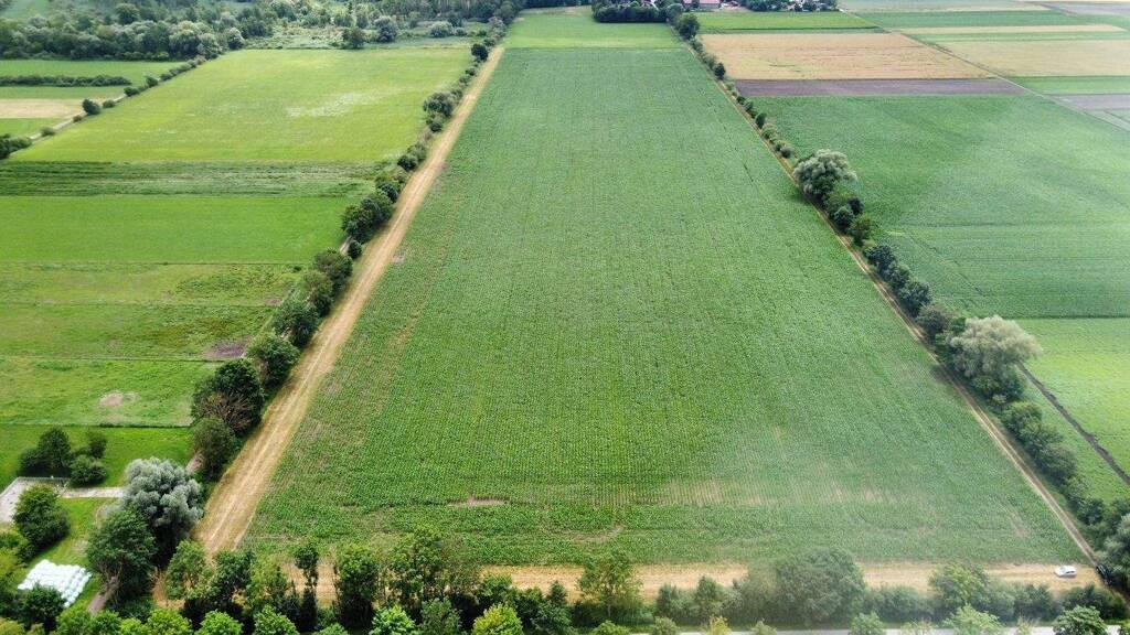 Land-/Forstwirtschaft zum Kauf 2.600.000 € 109.680 m² Grundstück Ismaning 85737