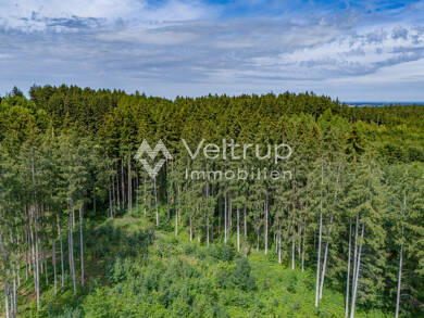 Land-/Forstwirtschaft zum Kauf 477.490 € 73.460 m² Grundstück Egling Egling an der Paar / Heinrichshofen 86492