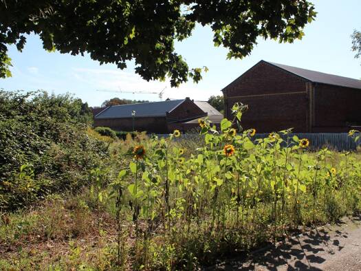 Grundstück zum Kauf 199.000 € 571 m² Grundstück Schönfließ Mühlenbecker Land 16567