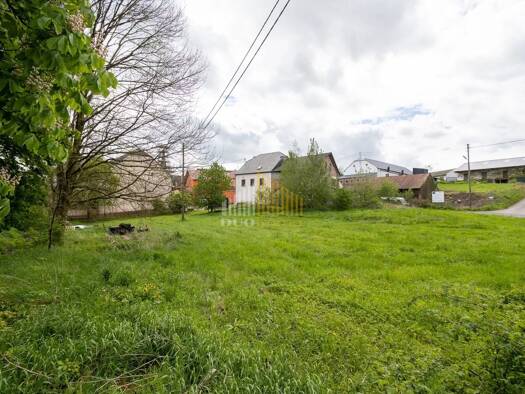 Grundstück zum Kauf 75.000 € 1.140 m² Grundstück Idesheim 54636