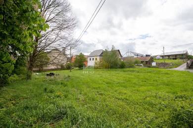 Grundstück zum Kauf 75.000 € 1.140 m² Grundstück Idesheim 54636