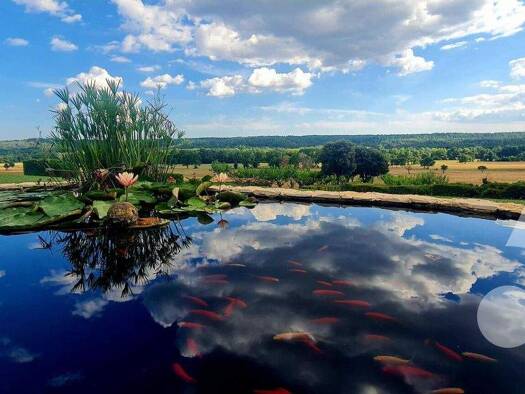 Haus zum Kauf 13.800.000 € 1.200 m² 1.650.000 m² Grundstück Fox-Amphoux 83670