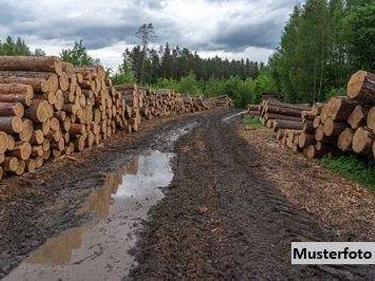 Land-/Forstwirtschaft zum Kauf 59.767 € 29.197 m² Grundstück Kirchberg in Tirol 6365