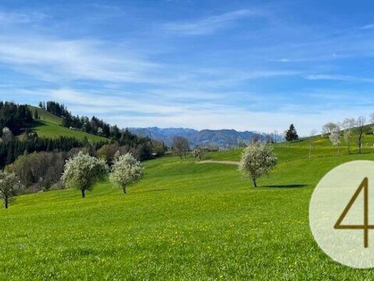 Grundstück zum Kauf 339.900 € 6.149 m² Grundstück St. Leonhard am Wald Waidhofen an der Ybbs 3263