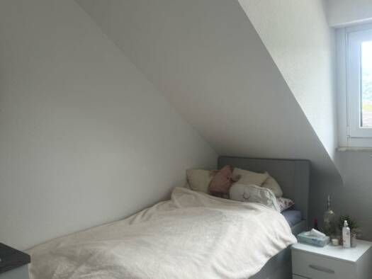 Studio zur Miete 301 € 1 Zimmer 22 m² Geschoss 3/4 frei ab 23.09.2025 Heiligkreuz Trier 54295