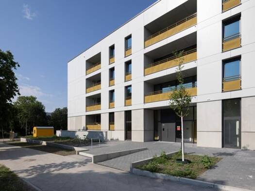 Wohnung zur Miete 328 € 1 Zimmer 25 m² 1. Geschoss frei ab sofort Kastanienallee Hellersdorf Marzahn-Hellersdorf 12627