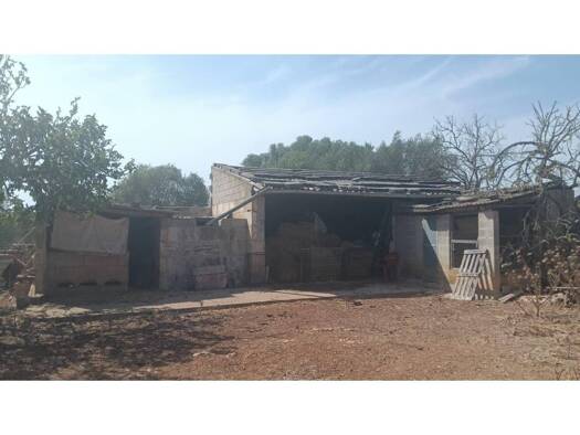 Acker-/Waldstück zum Kauf 109.000 € Santa Margalida 07450