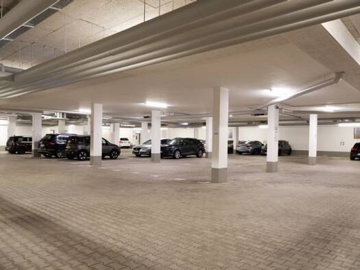 Tiefgaragenstellplatz zur Miete provisionsfrei Habsburger Straße 132 Neuburg Mitte 79104