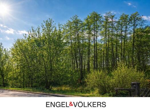 Grundstück zum Kauf 295.000 € 1.260 m² Grundstück Mühlenbeck Mühlenbecker Land 16567