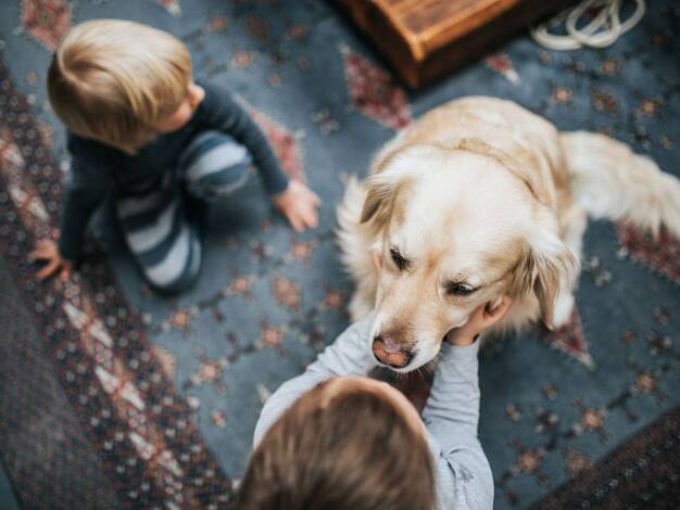 Einfamilienhaus zum Kauf - Erstbezug provisionsfrei 594.211 € 5 Zimmer 160 m² 529 m² Grundstück Ahrensfelde 16356