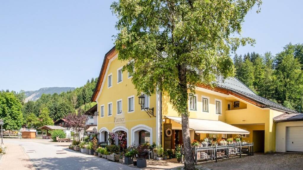 Haus zum Kauf 1.970.000 € 613 m² Grundstück Fieberbrunn 6391