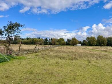Land-/Forstwirtschaft zum Kauf 150.000 € 56.748 m² Grundstück Löcknitz Löcknitz 17321