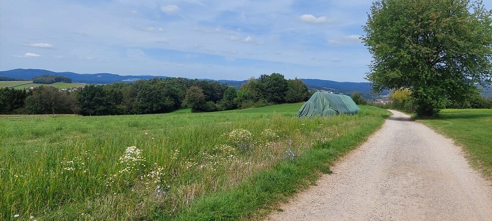 Grundstück zum Kauf 4.366 m²<br/>Grundstück Katzberg Katzberg 93413