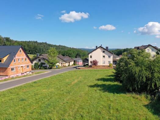 Grundstück zum Kauf 249.000 € 870 m² Grundstück Mechenhard Erlenbach am Main 63911
