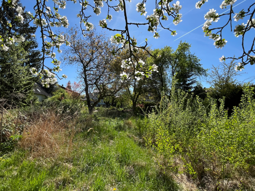 Grundstück zum Kauf 264.000 € 501 m² Grundstück Mahlsdorf Berlin 12623