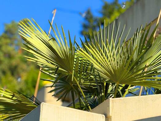 Wohnung zum Kauf provisionsfrei 169.000 € 3 Zimmer 84,3 m² Sigmaringen 72488