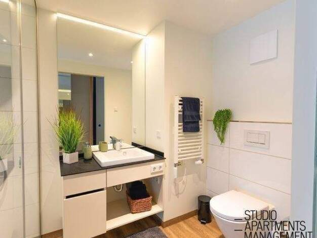 Studio zur Miete 750 € 1 Zimmer 29 m² frei ab 01.06.2026 Bechmann-Rahn-Weg 2 Innenstadt Erlangen 91052