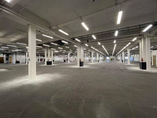 Lagerhalle zur Miete 7,90 € 4.400 m² Lagerfläche Billbrook Hamburg 22113