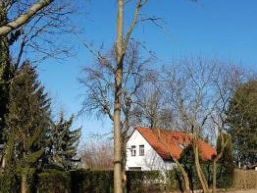 Grundstück zum Kauf 360 € 1.462 m² Grundstück Wachau Markkleeberg 04416