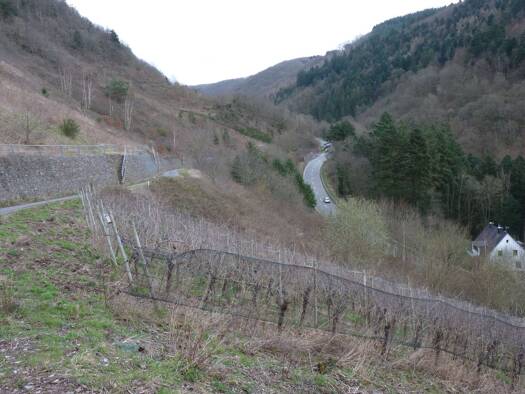 Land-/Forstwirtschaft zum Kauf provisionsfrei 1.200 € 965 m² 965 m² Grundstück B421 nördlich Barl Zell (Mosel) 56856