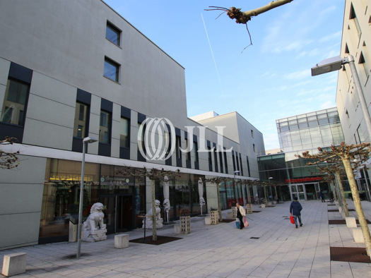 Bürofläche zur Miete provisionsfrei 13,50 € 298 m² Bürofläche teilbar ab 298 m² Vaihingen Vaihingen 70563