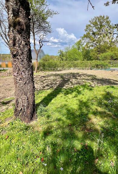 Grundstück zum Kauf provisionsfrei 220.000 € 518 m² Grundstück Bammersdorf Eggolsheim 91330