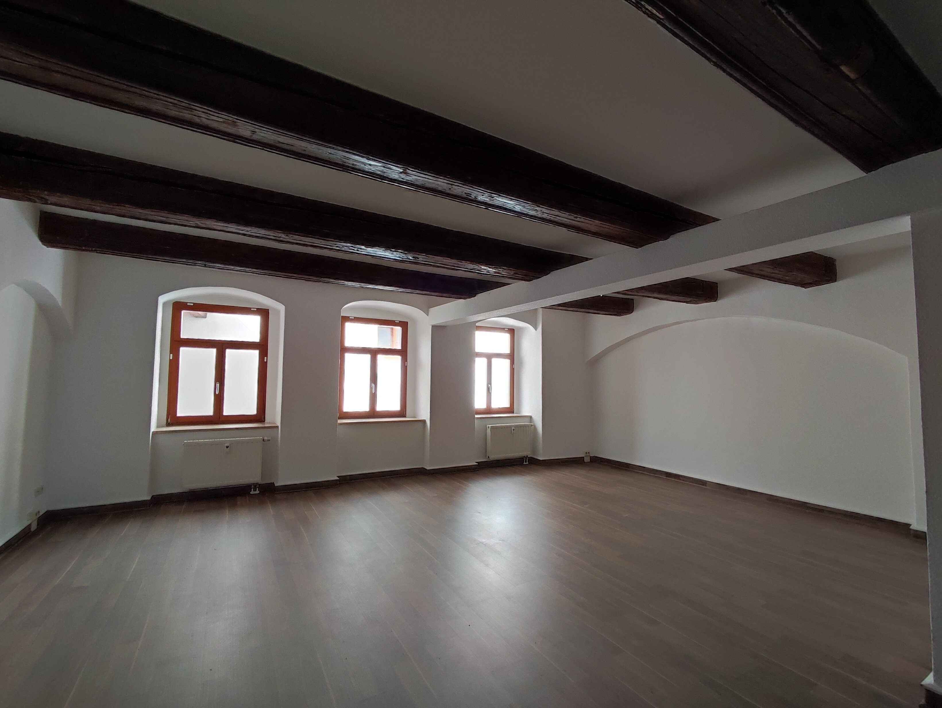 Büro-/Praxisfläche zur Miete provisionsfrei 400 € 1 Zimmer 56,5 m²<br/>Bürofläche Dohnaische Straße 74 Pirna Pirna 01796