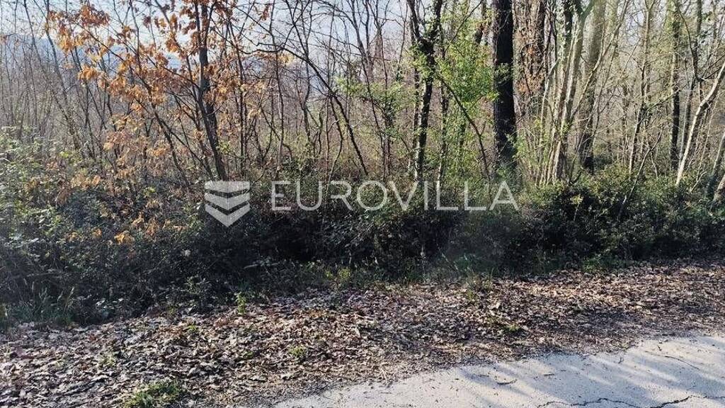 Land-/Forstwirtschaft zum Kauf 210.000 € Labin Labin