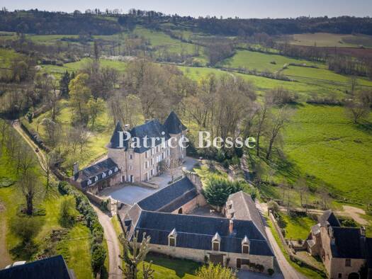 Schloss zum Kauf 995.000 € 20 Zimmer 750 m² 20.000 m² Grundstück Arsonval Brive-la-Gaillarde 19100