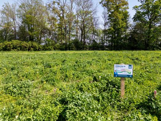 Grundstück zum Kauf 83.050 € 755 m² Grundstück frei ab sofort Altheim 4950