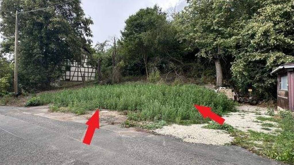 Grundstück zum Kauf 10.000 € 220 m² Grundstück Schottenstein Itzgrund 96274