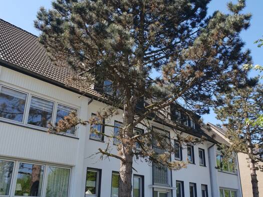 Wohnung zur Miete 500 € 3 Zimmer 61 m² Geschoss -2/2 frei ab sofort Frintroper Str. 89 Frintrop Essen 45359
