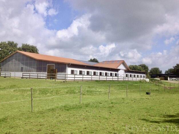 Reiterhof zum Kauf 1.300.000 € 44.166 m² Grundstück Ostrohe 25746