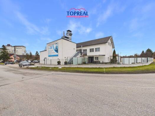 Mehrfamilienhaus zum Kauf 990.000 € 9 Zimmer 260 m² 2.415 m² Grundstück Pichl bei Wels 4632