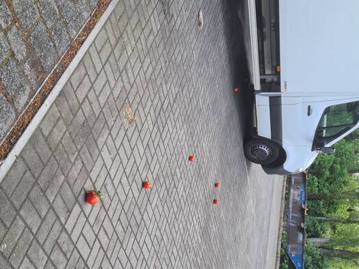 Außenstellplatz zur Miete provisionsfrei 2.400 € 800 m² Wildau 15745