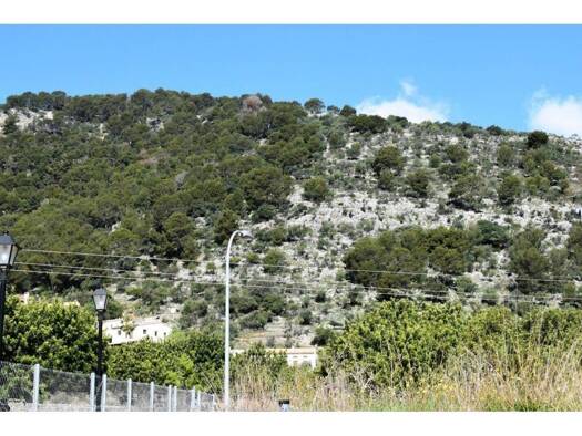 Acker-/Waldstück zum Kauf 400.000 € Alaró 07340
