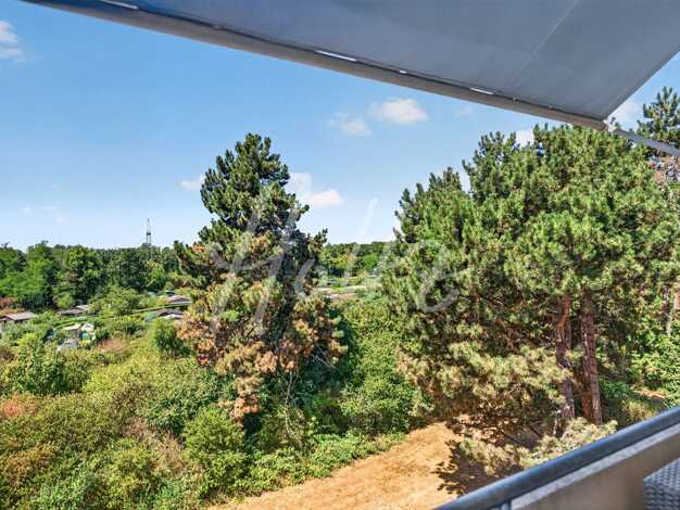 Wohnung zum Kauf 259.000 € 3 Zimmer 75 m² 4. Geschoss Bugginger Straße 33 Weingarten Südwest 79114