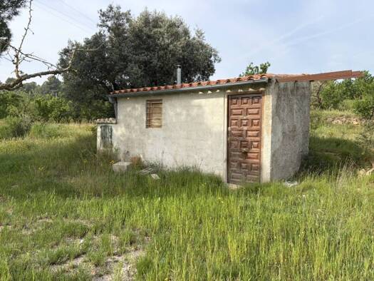 Acker-/Waldstück zum Kauf 23.500 € Ascó 43791
