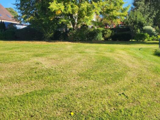 Grundstück zum Kauf 835 m² Grundstück Rethwisch Börgerende-Rethwisch 18211