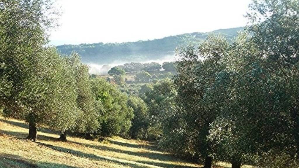 Grundstück zum Kauf provisionsfrei 199.000 € 45.000 m² Grundstück Baugenehmigung vorhanden Caldana 58020 