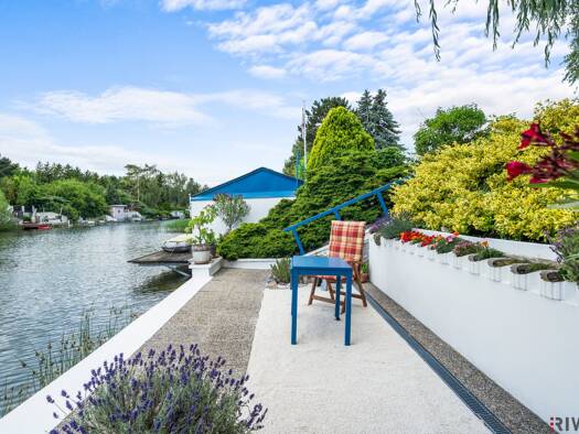 Haus zum Kauf 499.000 € 3 Zimmer 566 m² Grundstück Lassee 2291