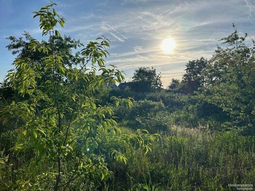 Grundstück zum Kauf 369.000 € 708 m² Grundstück Heusenstamm 63150