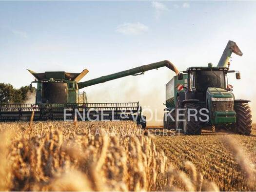 Land-/Forstwirtschaft zum Kauf 30.000.000 m² Randau-Calenberge Magdeburg 39104