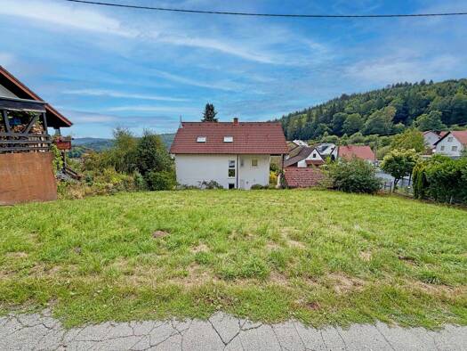 Grundstück zum Kauf 145.000 € 456 m² Grundstück Wilhelmsfeld 69259