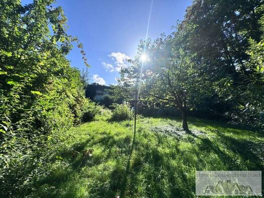 Grundstück zum Kauf 170.000 € 1.449 m² Grundstück Wissentrup Lage 32791