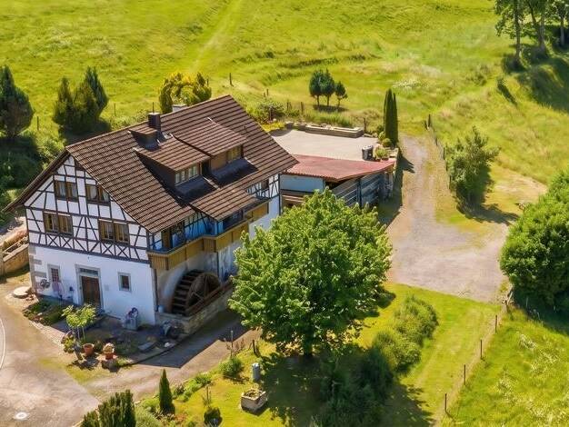 Mehrfamilienhaus zum Kauf 599.000 € 9 Zimmer 231 m² 1.800 m² Grundstück Stühlingen 79780
