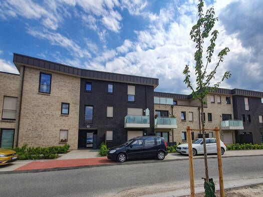 Wohnung zur Miete 590 € 2 Zimmer 46,1 m² EG frei ab sofort Westerstede 26655