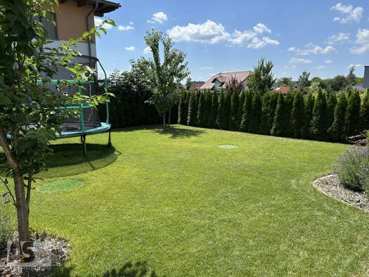 Doppelhaushälfte zum Kauf 475.810 € 4 Zimmer 116,4 m² frei ab 01.11.2027 Auerbach 5224